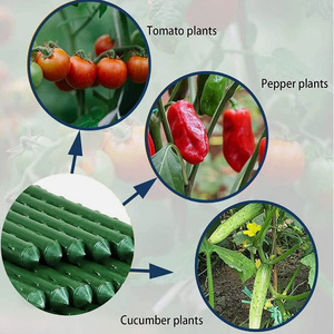 Tuteurs tubulaires métalliques plastifiés pour plantes et cannes de jardin pour tomates - Product Image 1