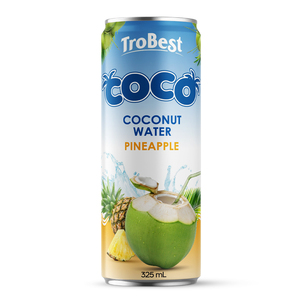 <b>Chocolate</b> Coconut Drink 320ml Can OEM ODM Private Label Beverage - Product Image 2