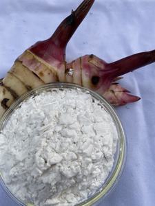 Best Quality Hot Arrowroot Starch <b>Selling</b> Factory 2020 with Best Price in Vietnam - Product Image 2