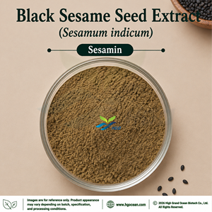 โรงงาน HGO จำหน่ายสารสกัดงาขาว (Sesamum indicum) เกรดอาหาร เซซาไมน์ 98% สารสกัดมาตรฐาน - Product Image 2