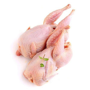 Premium Frozen Pigeon Fresh Pigeon <b>Meat</b> Packed for Global Wholesale Buyers - Product Image 5