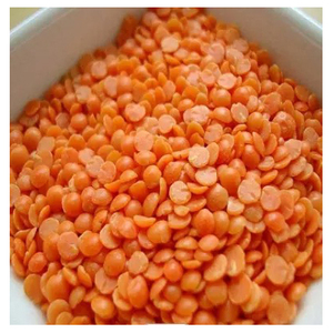 Nouvelles récoltes de lentilles rouges biologiques de haute qualité en vrac – Style OEM, qualité supérieure, séchées en vrac - Product Image 1