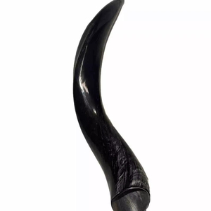 Cuerno de Shofar de Carnero Hecho a Mano, Instrumento Musical Religioso Judío Económico para Adoración, Oración y Ceremonia - Product Image 1
