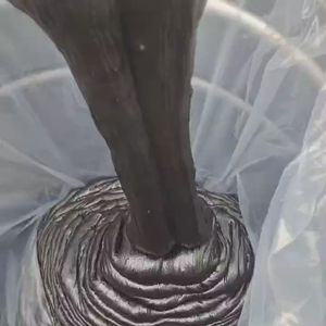 Masilla impermeabilizante de asfalto para bricolaje y soluciones de impermeabilización profesionales - Product Image 6