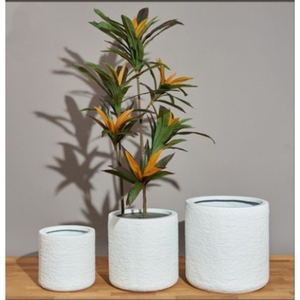 Juego de Macetas de Fibra de Vidrio Blancas para Uso en Interiores con Exhibición de Plantas Verdes - Product Image 3