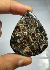 Cabochon en agate Turritella en forme de cœur, pierre précieuse minérale polie pour la fabrication de bijoux - Product Image 3