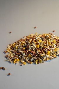 Suministro a granel de etiquetas personalizadas OEM, mezcla de frutas y semillas saludables, alimentos para loros, nutrición natural para aves medianas y grandes - Product Image 6