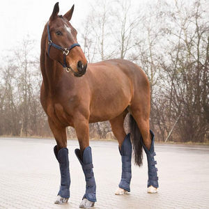 Servicio OEM, Botas de Cepillado para Caballos, Gran Venta, Nueva Llegada, Botas de Cepillado para Caballos en Venta en Línea - Product Image 3