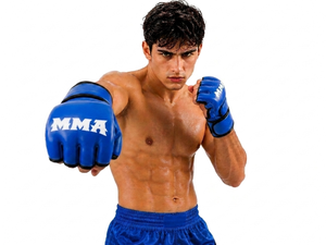 Private Label Premium Quality PU Leather MMA Gloves Professionally Made Waterproof Hook Loop Closure MMA Training Gloves - Product Image 2