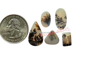 AAA Science Naturel Dendrite Sajar Cristal de Guérison Lisse de Haute Qualité pour Bijoux Pendentif Fabrication de Pierres Précieuses Prix de Gros - Product Image 4