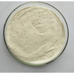 Polvo de vainilla certificado HALAL a bajo precio para compradores de vainilla - Product Image 3