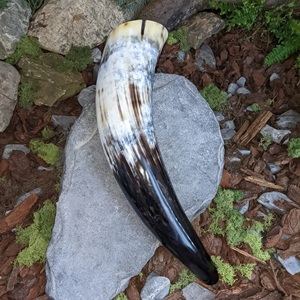 Wholesale High Quality Natural Viking Drinking Horn Handmade Eco-Friendly Fully Polished Agate High Quality Natural Horn - Product Image 6