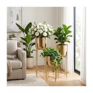 Modern <b>Planter</b> Stand Set With Wire <b>Cage</b> Base Indoor Decor Vase For Housewarming - Product Image 2