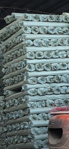 Manches de balai en bois d'eucalyptus 120 cm, manches de balai en plastique écologiques, bâtons de balai 20-25 mm, vente en gros, fournisseur direct d'usine du Vietnam - Product Image 4