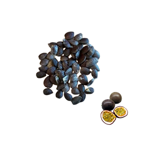 Best Rate Best Quality Top Selling Vietnam Factory Selected Dried Passion Fruit <b>Seeds</b> <b>Packed</b> in 5kg Bag - Product Image 1