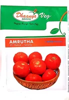 Semences de tomates CRADLE of LIFE pour l'agriculture - Rendement élevé, durée de conservation de 12 mois, scellées sous vide, prêtes à la plantation