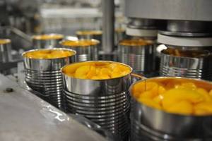 Mangue en conserve tropicale du Vietnam au goût naturellement sucré - Product Image 3