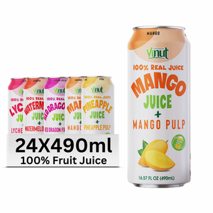 Vietnam 490ml variété aromatisée jus de fruits boisson sans sucre OEM/ODM échantillon gratuit marque privée pour les grossistes - Product Image 4