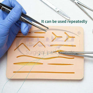 Medical Students Suture Biological Dissecting Tools Stainless Steel Dissecting Scissors Dissecting Needles By <b>Blush</b> Surgical - Product Image 3