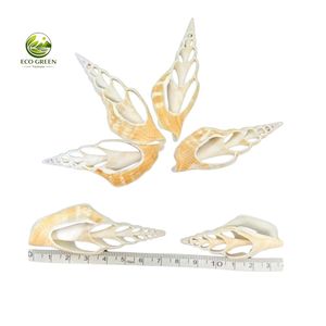 Cortes de Conchas Marinas Decorativas al por Mayor, Piezas Naturales de Conchas Oceánicas para Manualidades de Joyería y Adornos para el Hogar - Product Image 5
