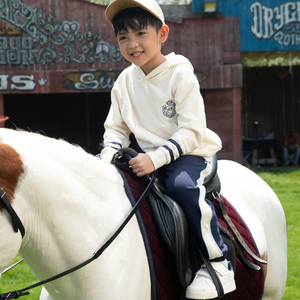 Prêt à expédier – Sweat à capuche unisexe en molleton 100 % coton 360 GSM, manches longues, pour femmes et hommes, broderie Joyce – Adulte - Product Image 6