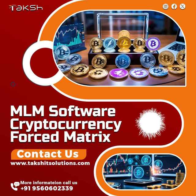 Professional SaaS Agency for Mobile App Development Supporting IOS Android Operating Systems Enterprise Version App Developer