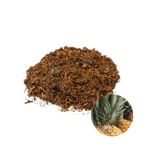 Peau d'ananas séchée naturelle de qualité supérieure, fabriquée au Vietnam, la plus vendue, pour l'alimentation du bétail, approvisionnement en vrac - Product Image 1