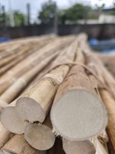 Natural Rattan Sticks Canes & <b>Poles</b> (50-500cm)-Traditional Round Design for Plant Training & Garden Furniture - Product Image 5