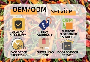 Pudín de gelatina con sabor a frutas Halal, marca privada, al por mayor, con Nata de Coco, en caja, snacks de gelatina de coco - Product Image 6