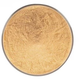 Poudre de mangue pure lyophilisée riche en nutriments, 100% naturelle, pour smoothies, glaces et boissons saines - Product Image 2
