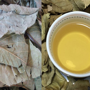 Oferta Especial: Hojas de Guayaba Deshidratadas Vietnamitas en Caja de Cartón Natural de 10 kg, Proveedor Global, Importador a Granel, Fabricante de Vietnam - Product Image 5