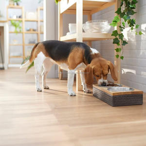 เครื่องป้อนอาหารสุนัขแมวสองชั้นยกระดับสองชั้นจานด้านบนทำจากไม้แผ่นโลหะทุบเป็นเหล็กสแตนเลสเพื่อความสะดวกในการให้อาหารสัตว์เลี้ยง - Product Image 3