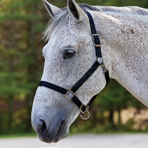 Cabestro de Nailon para Caballo, Ajustable, con Hebilla Metálica, Cabestro Ecuestre Resistente - Product Image 4