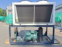 Basse température 40hp réfrigérateur chambre de stockage à froid réfrigération marcher dans le congélateur semi-hermétique compresseur unité de condensation