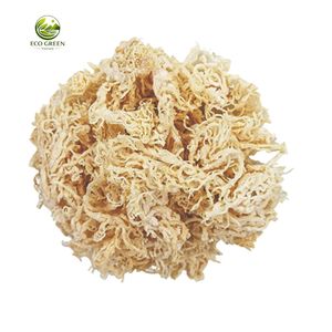 สาหร่ายทะเลไอริชธรรมชาติ สาหร่ายแห้งปรุงรส Eucheuma Cottonii Nori วัตถุดิบเกรดส่งออก บรรจุภัณฑ์ขนาดใหญ่ อายุการเก็บรักษา 12 เดือน - Product Image 1
