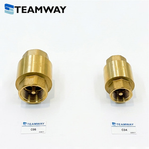 TEAMWAY ซีรีส์ C วาล์วกันกลับลมแบบทองเหลือง, วาล์วกันกลับทางเดียว, เกลียวใน 1/8" 1/4" 3/8" 1/2" 3/4" - Product Image 3