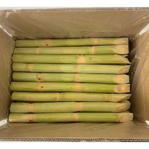Palitos de Caña de Azúcar Congelados, Producto de Exportación Premium, Naturalmente Dulces, Listos para Usar en la Elaboración de Bebidas y Suministro de Servicios de Alimentación - Product Image 1