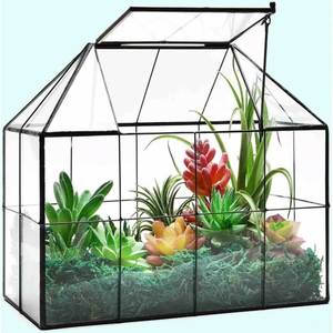 Terrario de Metal y Vidrio de Diseño Moderno para Decoración del Hogar, Macetero de Vidrio para Plantas de Interior, Suculentas, Plantas Aéreas y Terrarios DIY - Product Image 1
