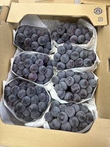 Frutas Japonesas de Excelente Calidad y Variedad Extensa: Uvas Frescas Verdes, Negras y Rojas - Product Image 6