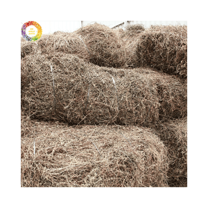 High Quality <b>Dried</b> Black <b>Grass</b> Jelly Mesona Chinensis for Refreshing Beverages and Traditional Desserts From Vietnam - Product Image 2