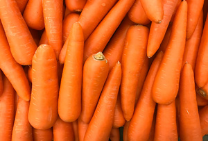 Zanahorias Frescas al por Mayor, Calidad Premium, Zanahorias Naranjas Frescas de Granja Natural para Exportación, Suministro a Granel, Vegetales de Grado Alimenticio - Product Image 5