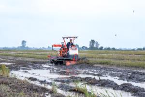 TRACTOR ORUGA HOGICO 75VN 70HP MÁS VENDIDO, Alto Rendimiento, Duradero, para Labranza de Arrozales, Cultivos en Humedales, Multifunción 2025 - Product Image 4