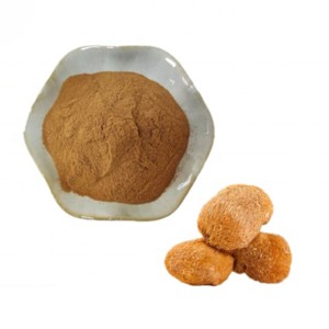 Polvo de Melena de León Premium 10:1, Extracto Puro y Natural de Hericium Erinaceus para Apoyo Natural al Bienestar Cognitivo - Product Image 1