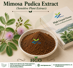 Extrait de Mimosa Pudica Pur et Naturel de Qualité Alimentaire, Fourniture Directe d'Usine HGO, Rapports d'Extraction 4:1 5:1 10:1 20:1 100:1 200:1 - Product Image 1