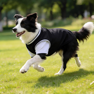 Camisetas para Perros de Diseño Más Vendidas, Chalecos Lindos para Cachorros, Ropa para Gatos con Logotipo y Colores Personalizados, Camisetas Cómodas Lisas para Cachorros - Product Image 4