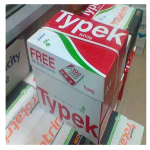 International Standard Typek <b>A4</b> Office <b>Paper</b> for Business Communication Record Keeping and Administrative Needs - Product Image 4