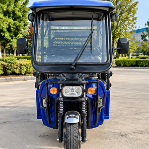 Triciclo de Tres Ruedas de 250cc a Gasolina con Capacidad para 7 Pasajeros, Carrocería Abierta, Motor de >1000W, 60V, Alcance de 90km - Product Image 1