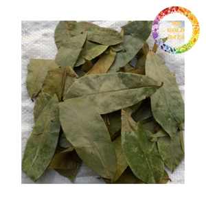 Vietnam Dried Soursop Leaves Herbal <b>Tea</b> Ingredient Bulk Supply - Product Image 1