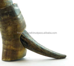 Corne à boire Viking authentique fabriquée à la main avec support Style médiéval Ale Mead Beer Tankard Corne naturelle Cadeau unique sans danger pour les aliments - Product Image 6