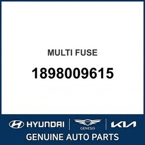 Fusibles y Cajas de Fusibles Nuevas para Elantra 1898009615 - Product Image 1